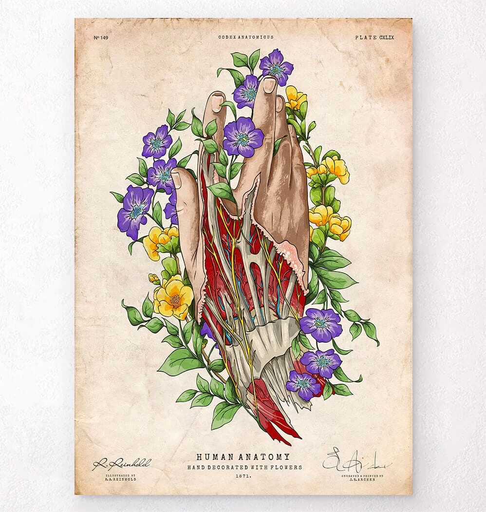 Hand Anatomy - Floral - Vintage 3 Hand Anatomy - Floral - Vintage