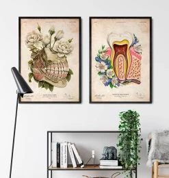 Dental Anatomy - Floral - Vintage -Codex Anatomicus Shop LPA696 3