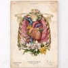 Heart, Lungs And Rib Cage - Floral - Vintage 1 Heart, Lungs And Rib Cage - Floral - Vintage -Codex Anatomicus Shop LPA697
