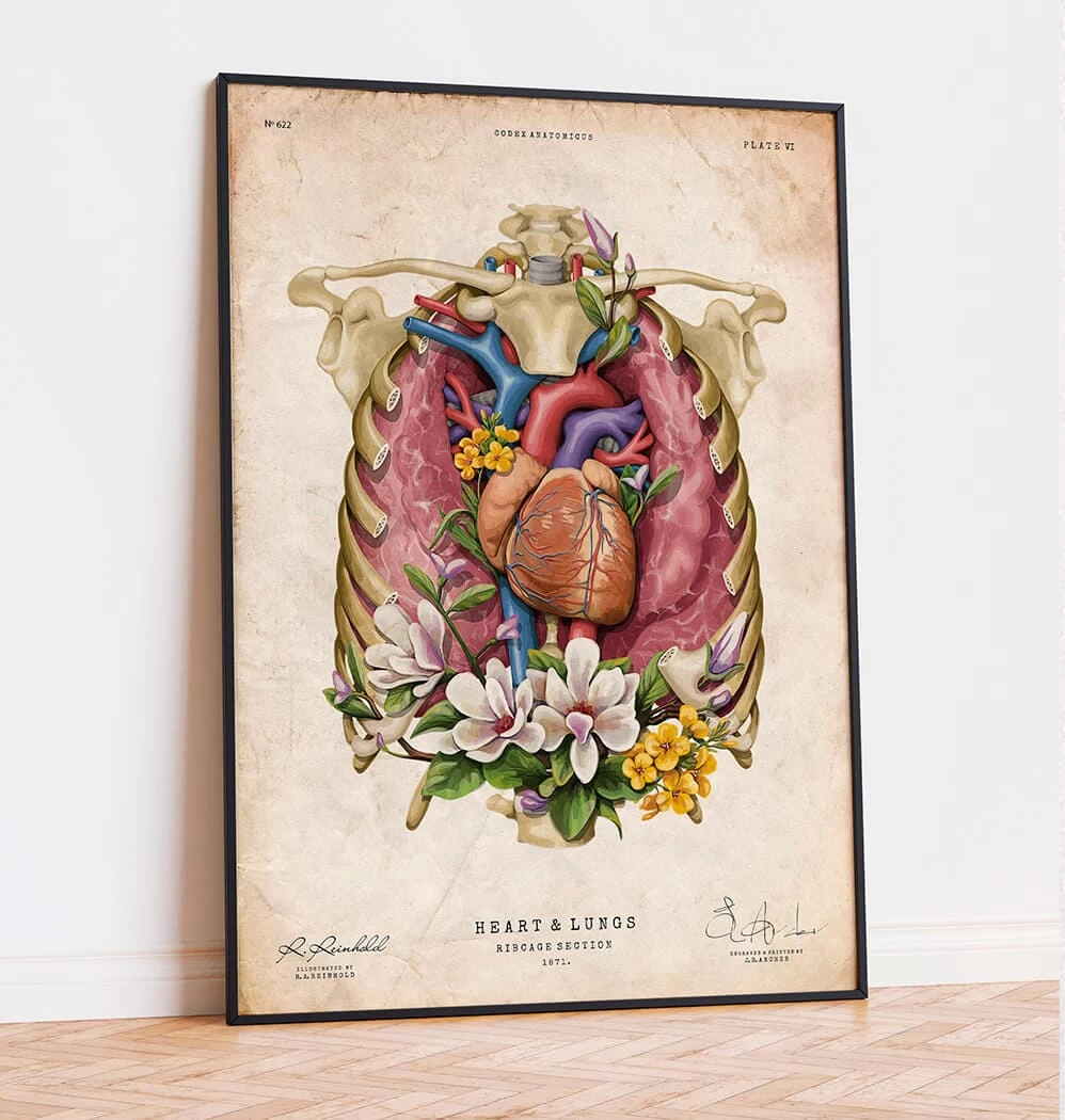 Heart, Lungs And Rib Cage - Floral - Vintage 4 Heart, Lungs And Rib Cage - Floral - Vintage - Image 2