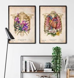 Heart, Lungs And Rib Cage - Floral - Vintage 7 Heart, Lungs And Rib Cage - Floral - Vintage -Codex Anatomicus Shop LPA697 3