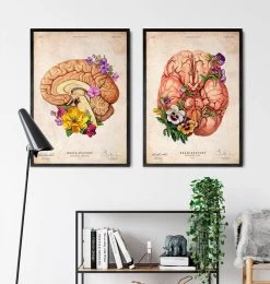 Brain Anatomy II - Floral - Vintage -Codex Anatomicus Shop LPA698 3