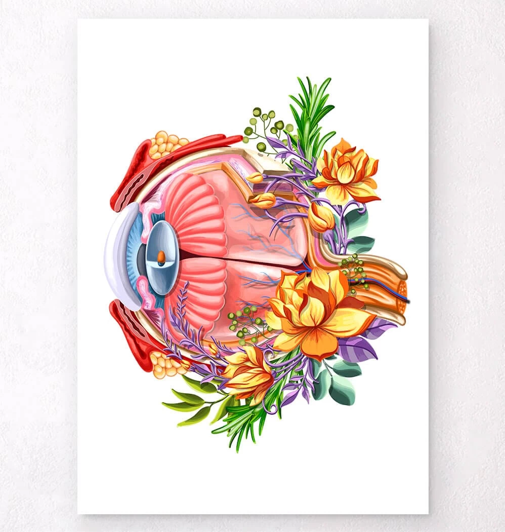 Eye Anatomy - Floral - White 3 Eye Anatomy - Floral - White