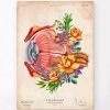 Eye Anatomy - Floral - Vintage -Codex Anatomicus Shop LPA711