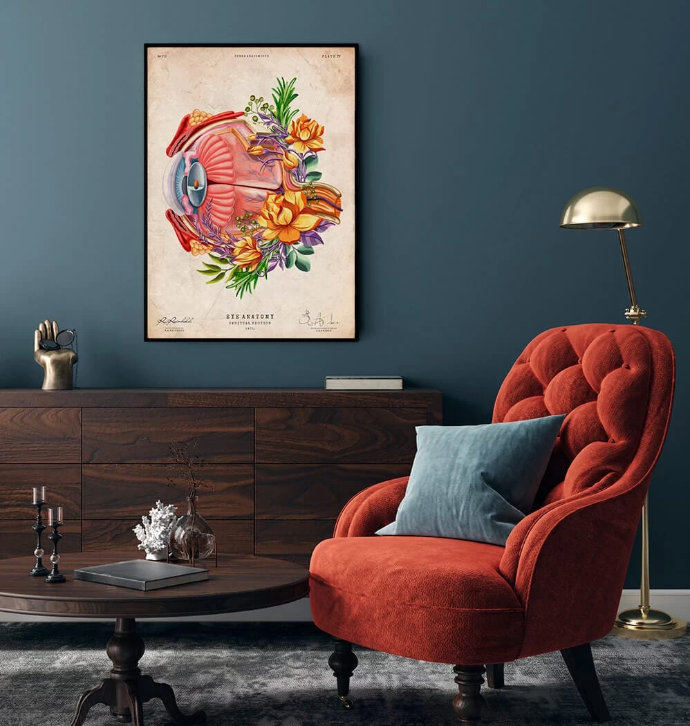 Eye Anatomy - Floral - Vintage 4 Eye Anatomy - Floral - Vintage - Image 2