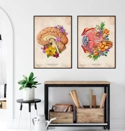Eye Anatomy - Floral - Vintage 7 Eye Anatomy - Floral - Vintage -Codex Anatomicus Shop LPA711 3