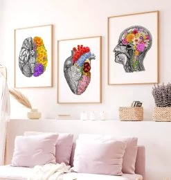 Anatomical Brain With Flowers II - White 7 Anatomical Brain With Flowers II - White -Codex Anatomicus Shop LPA713 3