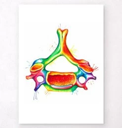 Cervical Vertebra - Watercolor Splash