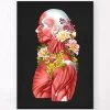 Muscles Side View - Floral - Black -Codex Anatomicus Shop LPA715