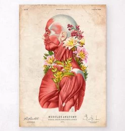 Muscles Side View - Floral - Vintage