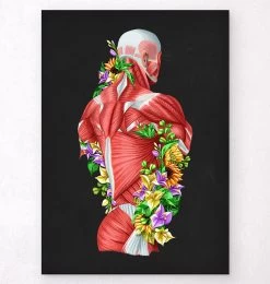 Back Muscles In Motion - Floral - Black