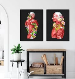 Back Muscles In Motion - Floral - Black -Codex Anatomicus Shop LPA720 3