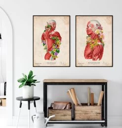 Back Muscles In Motion - Floral - Vintage -Codex Anatomicus Shop LPA722 3