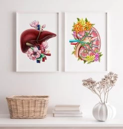 Kidney Anatomy II - Floral - White -Codex Anatomicus Shop LPA728 3