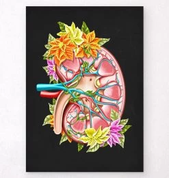 Kidney Anatomy II - Floral - Black