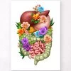 Digestive System - Floral - White -Codex Anatomicus Shop LPA731