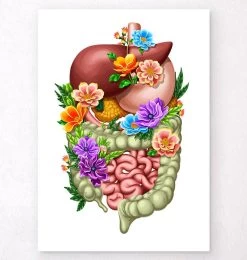Digestive System - Floral - White