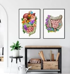 Digestive System - Floral - White -Codex Anatomicus Shop LPA731 3