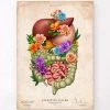 Digestive System - Floral - Vintage