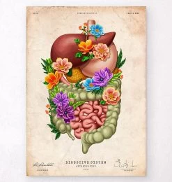Digestive System - Floral - Vintage