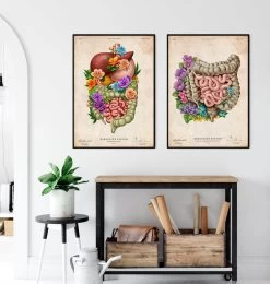Digestive System - Floral - Vintage -Codex Anatomicus Shop LPA733 3