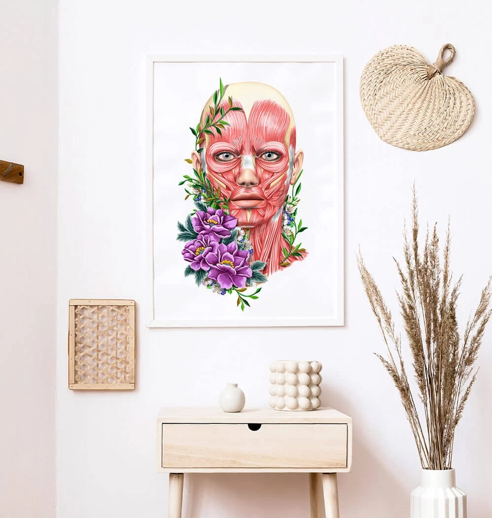 Facial Muscles Anatomy II - Floral - White 4 Facial Muscles Anatomy II - Floral - White - Image 2