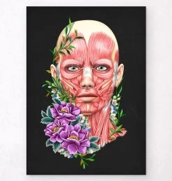 Facial Muscles Anatomy II - Floral - Black