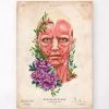 Facial Muscles Anatomy II - Floral - Vintage -Codex Anatomicus Shop LPA739