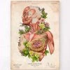 Female Body Anatomy - Floral - Vintage