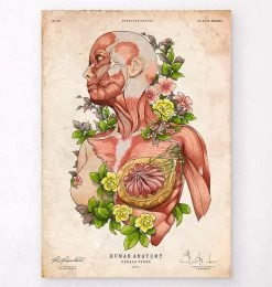 Female Body Anatomy - Floral - Vintage