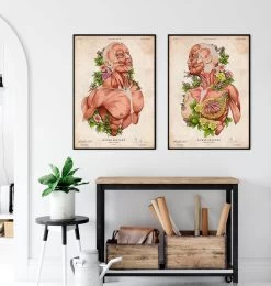 Female Body Anatomy - Floral - Vintage 7 Female Body Anatomy - Floral - Vintage -Codex Anatomicus Shop LPA746 3