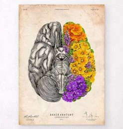 Anatomical Brain - Floral - Vintage