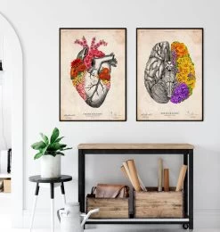 Anatomical Brain - Floral - Vintage -Codex Anatomicus Shop LPA750 3