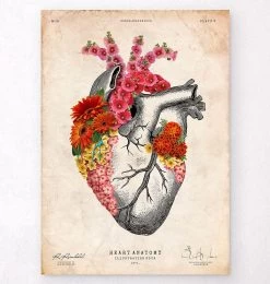 Anatomical Heart II - Floral - Vintage