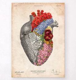 Anatomical Heart - Floral - Vintage