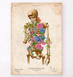 Skeleton Anatomy II - Floral - Vintage