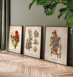Skeleton Anatomy II - Floral - Vintage -Codex Anatomicus Shop LPA753 3