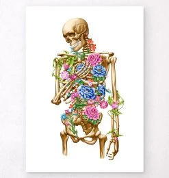 Skeleton Anatomy II - Floral - White