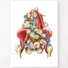 Iliacus And Psoas Muscles - Floral - White 2 Iliacus And Psoas Muscles - Floral - White -Codex Anatomicus Shop LPA756