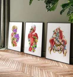 Iliacus And Psoas Muscles - Floral - White -Codex Anatomicus Shop LPA756 3