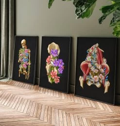 Iliacus And Psoas Muscles - Floral - Black 7 Iliacus And Psoas Muscles - Floral - Black -Codex Anatomicus Shop LPA757 3