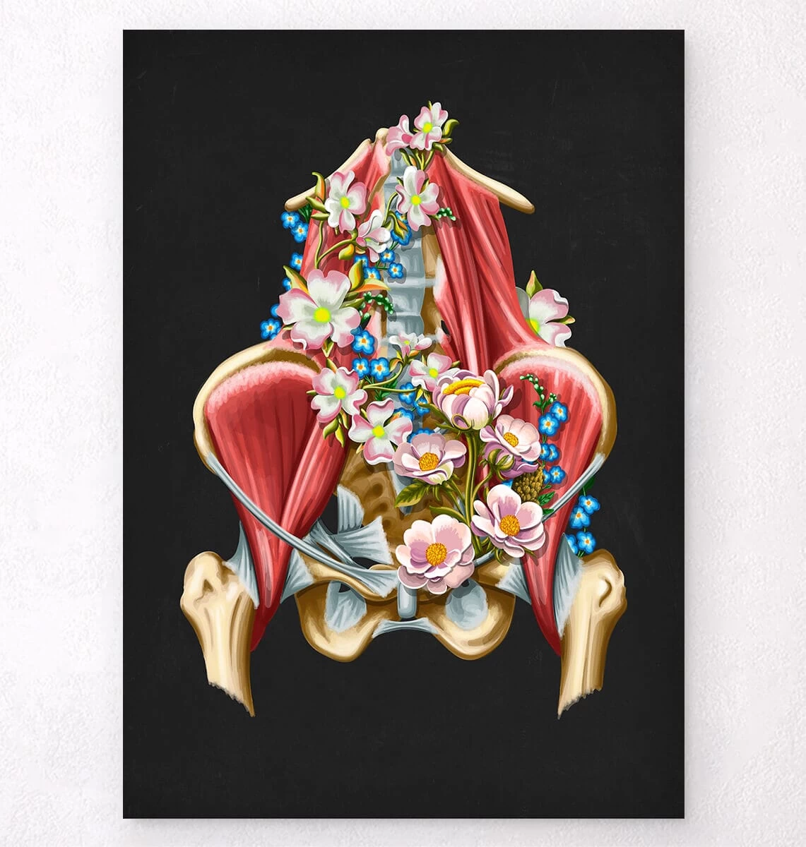 Iliacus And Psoas Muscles - Floral - Black 3 Iliacus And Psoas Muscles - Floral - Black