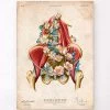Iliacus And Psoas Muscles - Floral - Vintage -Codex Anatomicus Shop LPA758