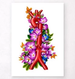 Aorta - Floral - White