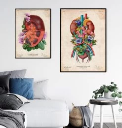 Urinary System - Floral - Vintage -Codex Anatomicus Shop LPA762 3