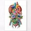 Urinary System - Floral - White -Codex Anatomicus Shop LPA763