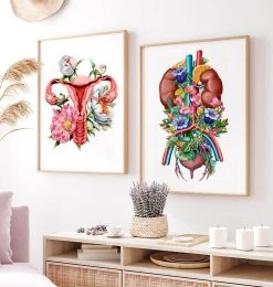 Urinary System - Floral - White 7 Urinary System - Floral - White -Codex Anatomicus Shop LPA763 3