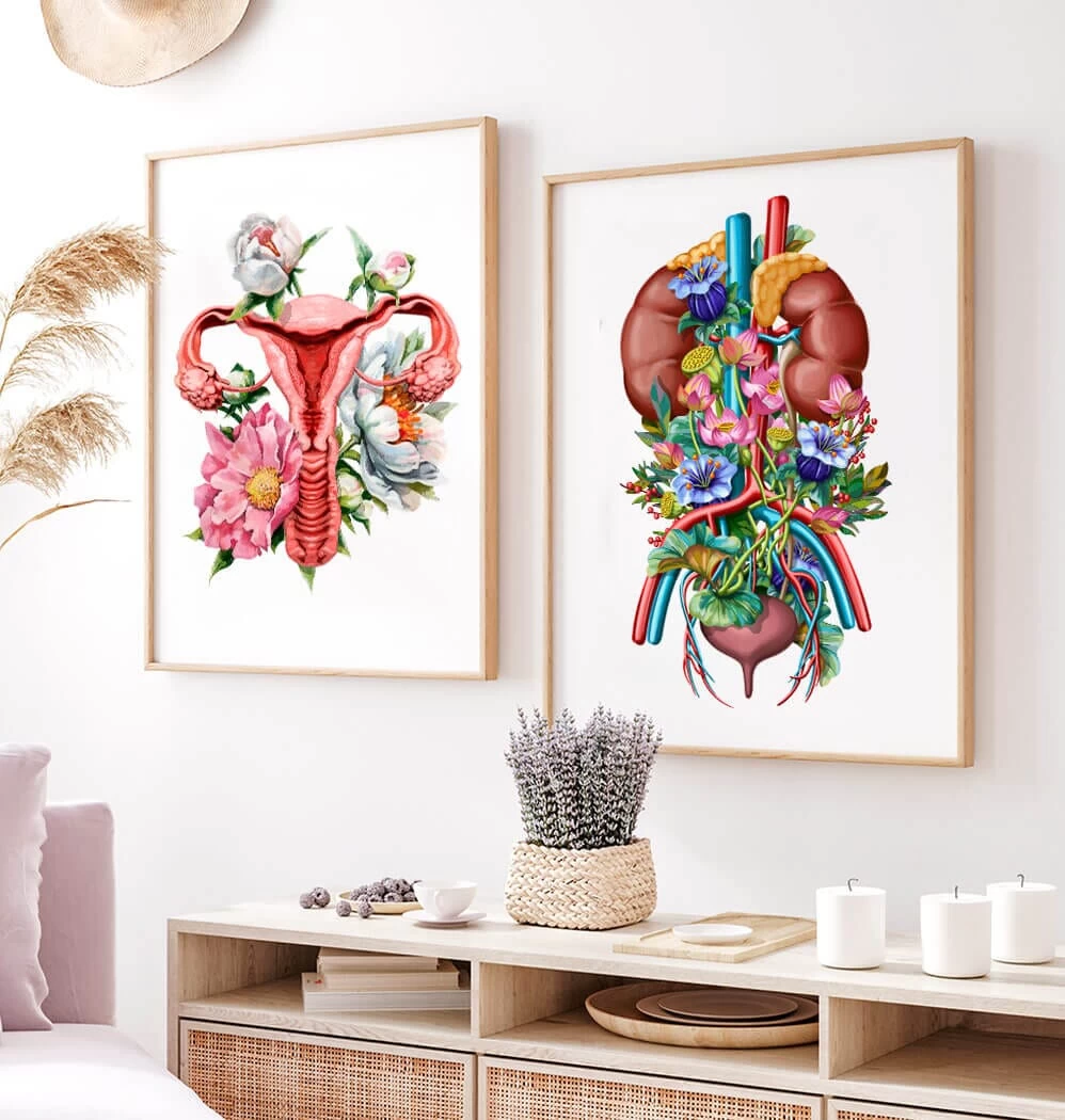 Urinary System - Floral - White 5 Urinary System - Floral - White - Image 3