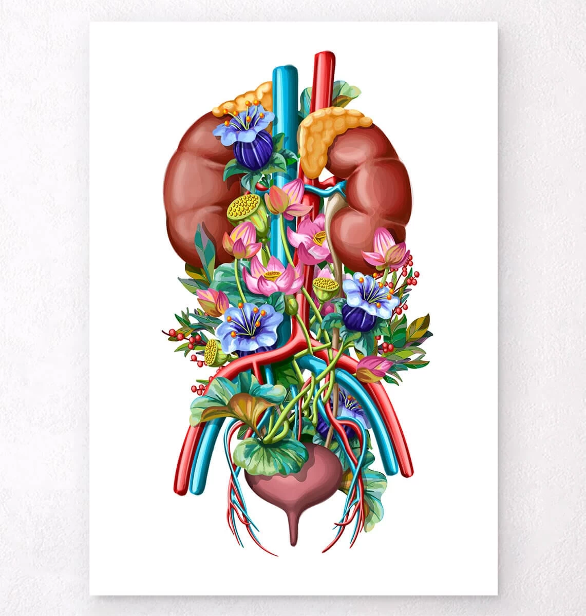 Urinary System - Floral - White 3 Urinary System - Floral - White