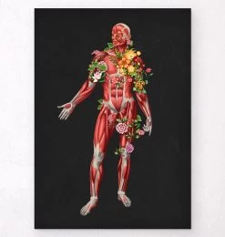 Muscular System, Front - Floral - Black